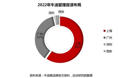 牛油果青年社区 以创新经营模式，为住房租赁行业注入高质量发展新动能