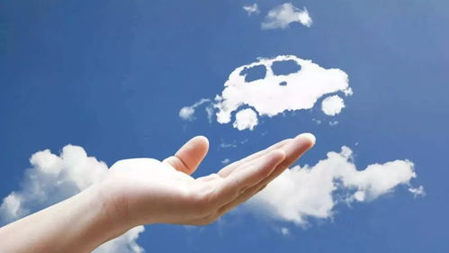 共享汽车寒冬 成本重压下体验滑坡，行业洗牌潮席卷而来