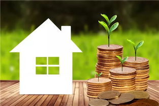 深圳租房新政实施 规范租赁市场，保障租客权益